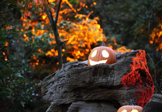 Carved Descanso Gardens fall festivities near The Pearl apartments in Koreatown, Los Angeles