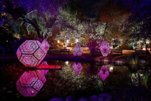 Enchanted Forest of Light at Descanso Gardens near The Pearl apartments in Koreatown, Los Angeles  