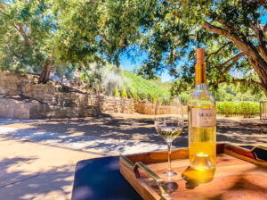 Moraga Bel Air vineyard & winery In Bel Air, CA