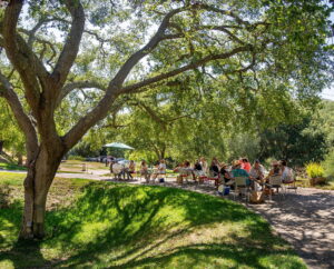Rosenthal The Malibu Estate Vineyard in Malibu, CA