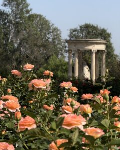 
The Huntington  gorgeous gardens near The Pearl apartments in Koreatown, Los Angeles   
